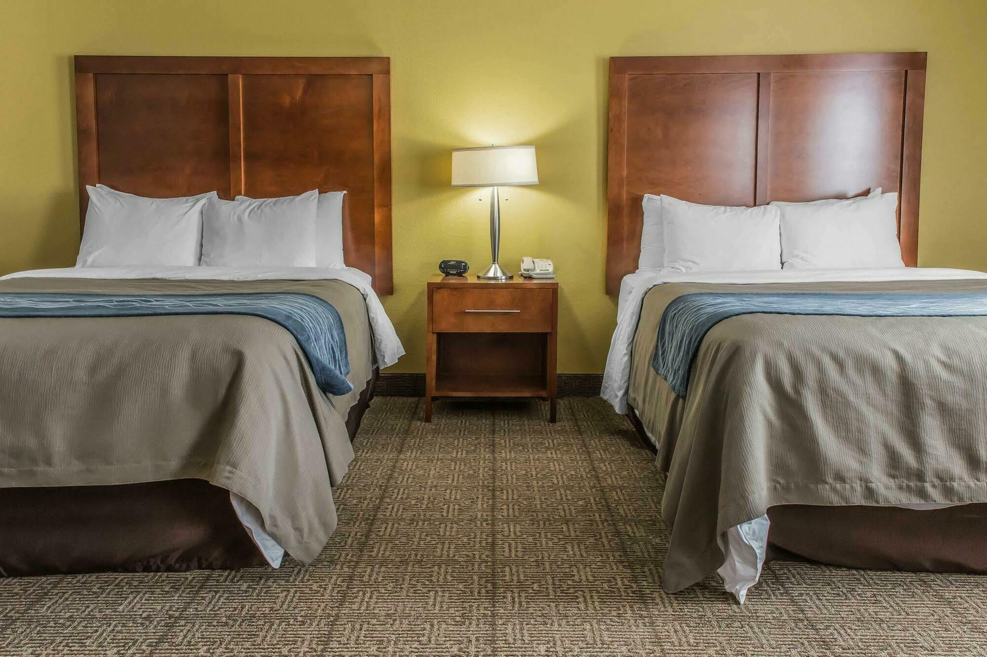 Belle Vernon Comfort Inn מראה חיצוני תמונה